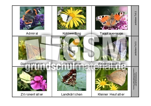 Leporello-Schmetterlinge-1.pdf